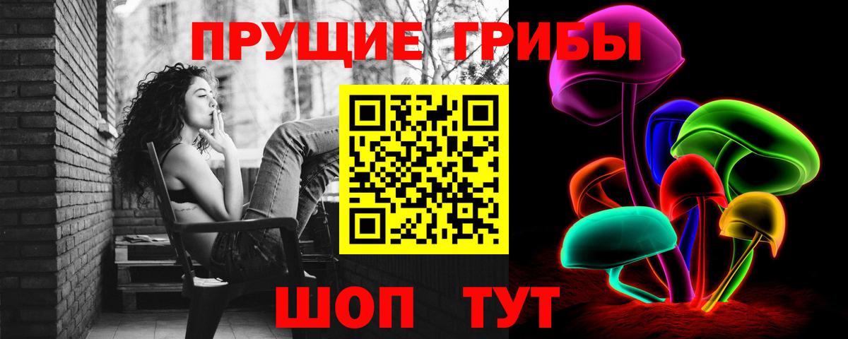 Псилоцибиновые грибы Psilocybine cubensis Урус-Мартан