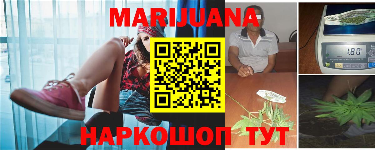 Каннабис гибрид Урус-Мартан
